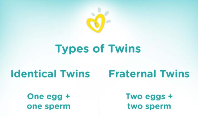 What To Expect From A Twin Pregnancy
